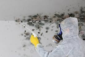 Best Air Quality Testing for Mold Spores  in Round Lake Beach, IL